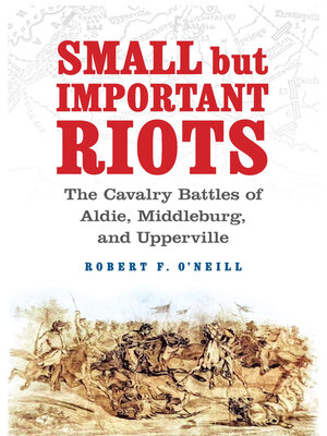 cover image of Small but Important Riots